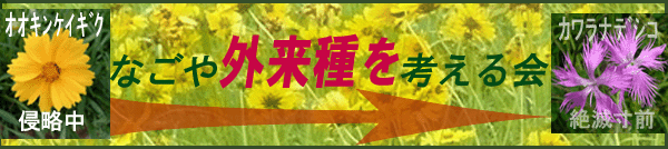 �Ȃ���O������l�����